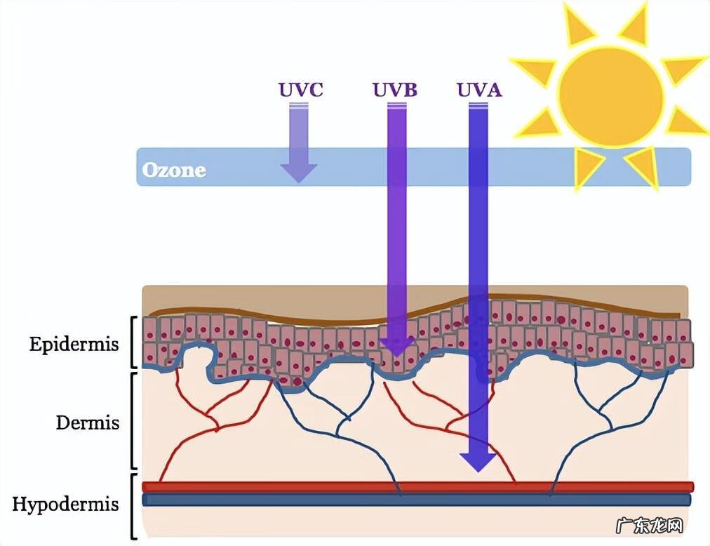 皮肤为什么会衰老的原因 皮肤衰老的原因有哪些