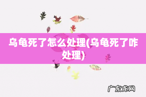 乌龟死了咋处理 乌龟死了怎么处理