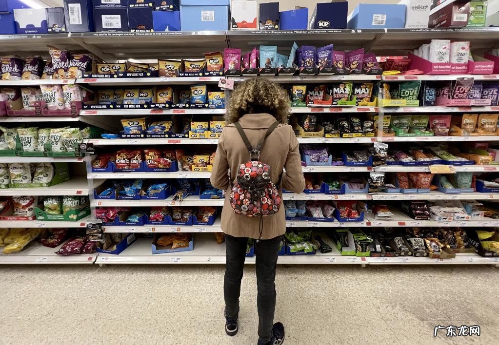 GameRefinery gameexpert