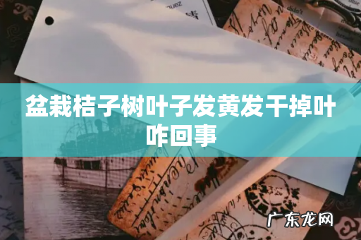 盆栽桔子树叶子发黄发干掉叶咋回事