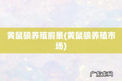 黄鼠狼养殖市场 黄鼠狼养殖前景