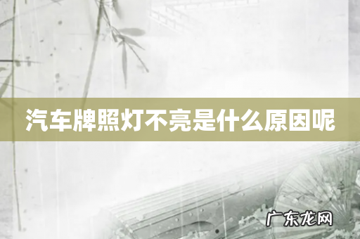 汽车牌照灯不亮是什么原因呢