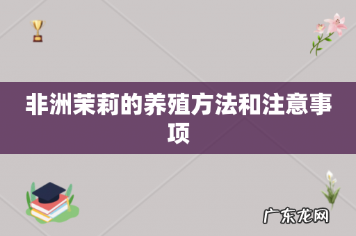 非洲茉莉的养殖方法和注意事项