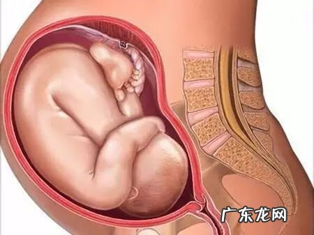 什么是难产 难产的定义是什么