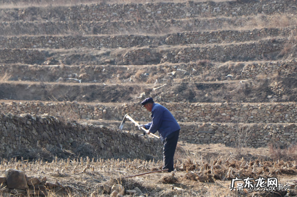 猪圈上盖的房子风水好不好 猪圈在房子东边好不好
