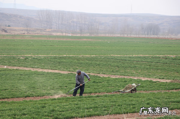 猪圈上盖的房子风水好不好 猪圈在房子东边好不好