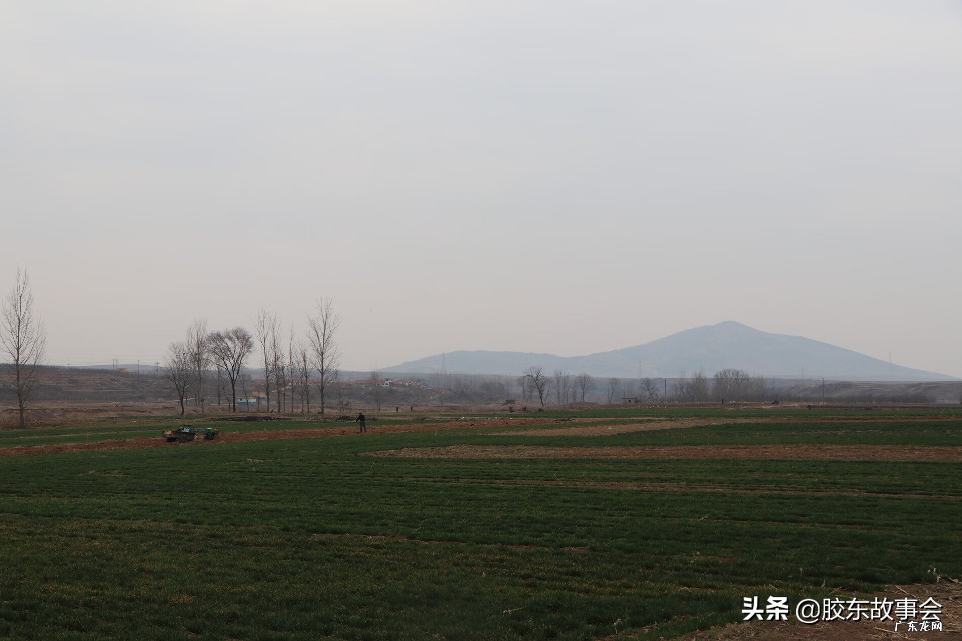 猪圈上盖的房子风水好不好 猪圈在房子东边好不好