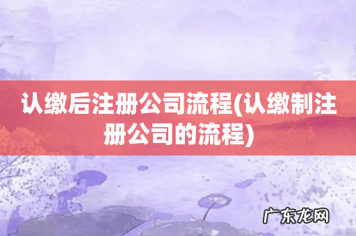 认缴制注册公司的流程 认缴后注册公司流程
