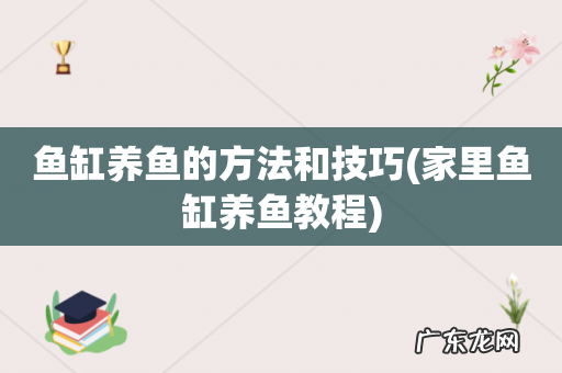 家里鱼缸养鱼教程 鱼缸养鱼的方法和技巧