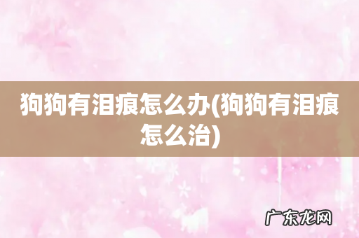 狗狗有泪痕怎么治 狗狗有泪痕怎么办