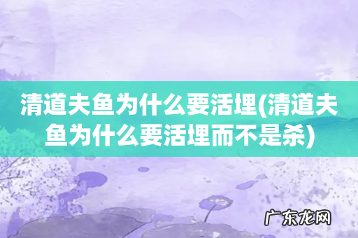清道夫鱼为什么要活埋而不是杀 清道夫鱼为什么要活埋