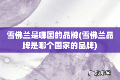 雪佛兰品牌是哪个国家的品牌 雪佛兰是哪国的品牌