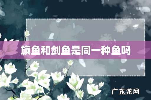 旗鱼和剑鱼是同一种鱼吗