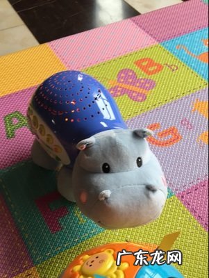 关于费雪小海马的故事 费雪小海马是什么