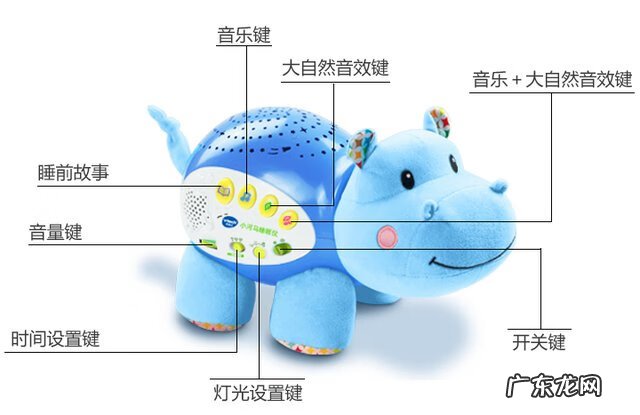 关于费雪小海马的故事 费雪小海马是什么