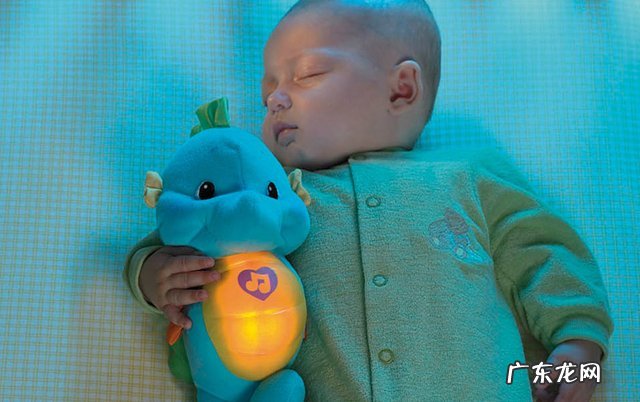 关于费雪小海马的故事 费雪小海马是什么