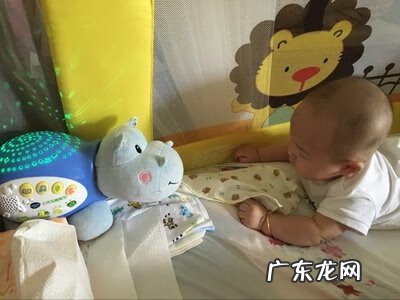 关于费雪小海马的故事 费雪小海马是什么