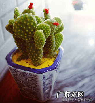 腰腿疼与家里风水 引起腿疼的家宅风水