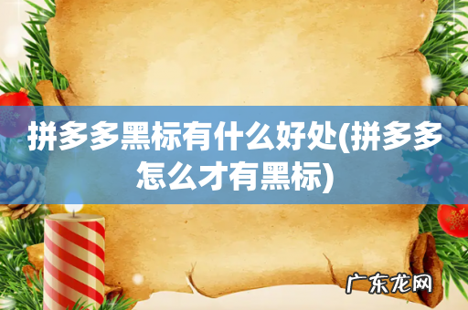拼多多怎么才有黑标 拼多多黑标有什么好处