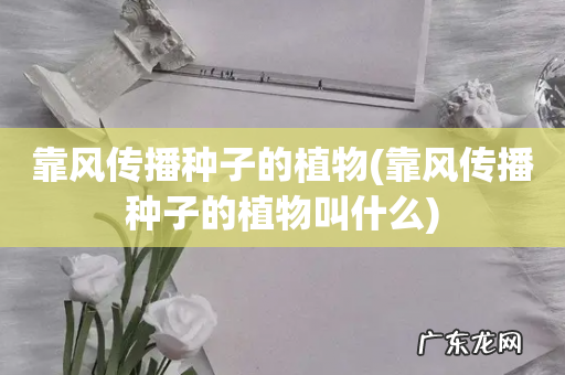 靠风传播种子的植物叫什么 靠风传播种子的植物