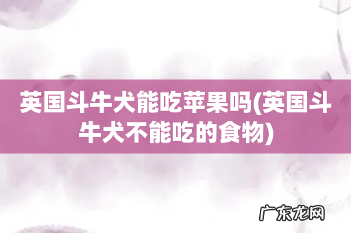英国斗牛犬不能吃的食物 英国斗牛犬能吃苹果吗
