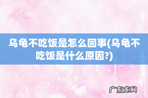 乌龟不吃饭是什么原因? 乌龟不吃饭是怎么回事