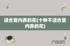 十种不适合室内养的花 适合室内养的花