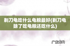 剃刀龟除了吃龟粮还吃什么 剃刀龟吃什么龟粮最好