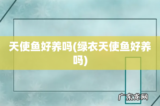 绿衣天使鱼好养吗 天使鱼好养吗
