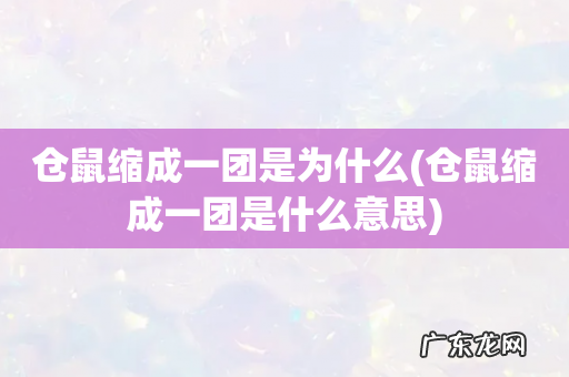 仓鼠缩成一团是什么意思 仓鼠缩成一团是为什么