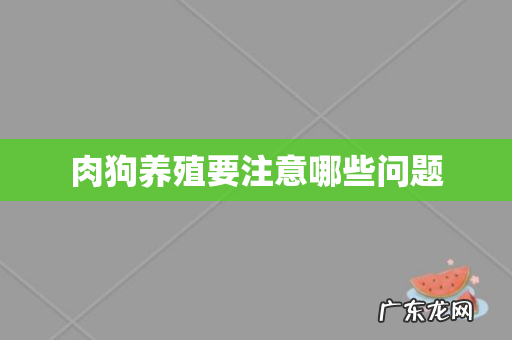 肉狗养殖要注意哪些问题