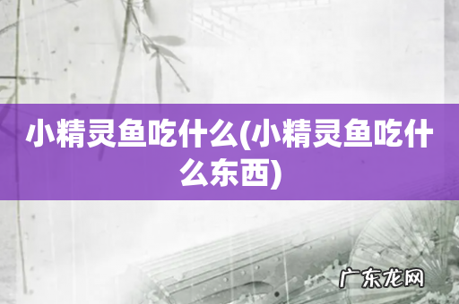 小精灵鱼吃什么东西 小精灵鱼吃什么