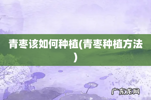 青枣种植方法 青枣该如何种植