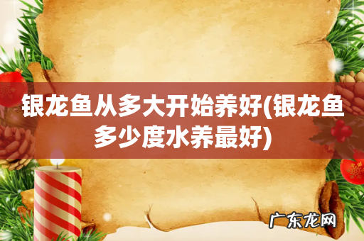 银龙鱼多少度水养最好 银龙鱼从多大开始养好