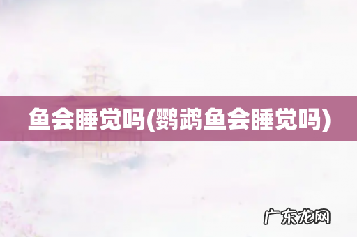 鹦鹉鱼会睡觉吗 鱼会睡觉吗