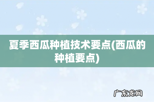 西瓜的种植要点 夏季西瓜种植技术要点