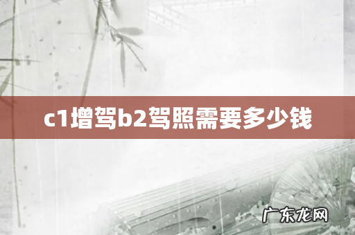 c1增驾b2驾照需要多少钱