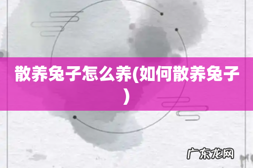 如何散养兔子 散养兔子怎么养