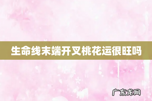 生命线末端开叉桃花运很旺吗