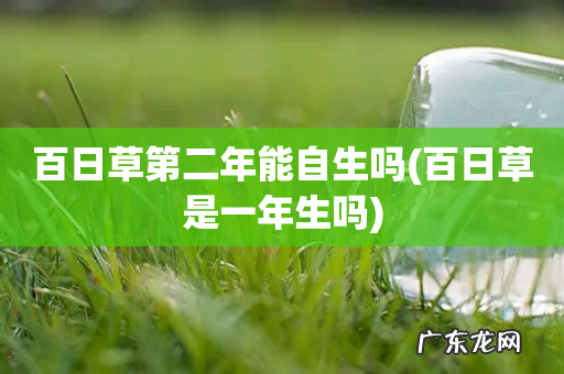 百日草是一年生吗 百日草第二年能自生吗