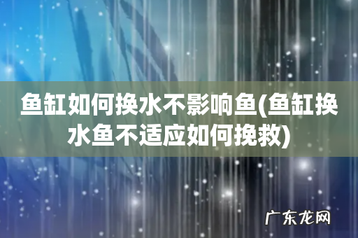鱼缸换水鱼不适应如何挽救 鱼缸如何换水不影响鱼