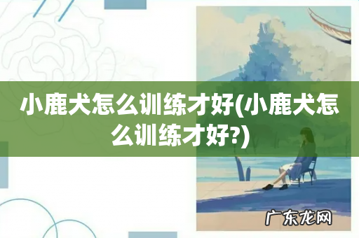 小鹿犬怎么训练才好? 小鹿犬怎么训练才好