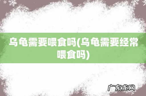 乌龟需要经常喂食吗 乌龟需要喂食吗