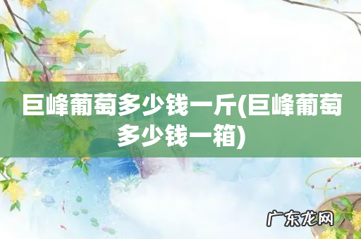 巨峰葡萄多少钱一箱 巨峰葡萄多少钱一斤