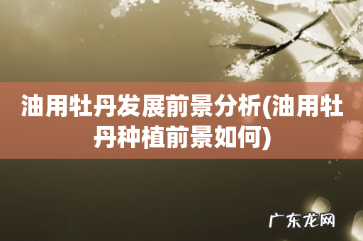 油用牡丹种植前景如何 油用牡丹发展前景分析