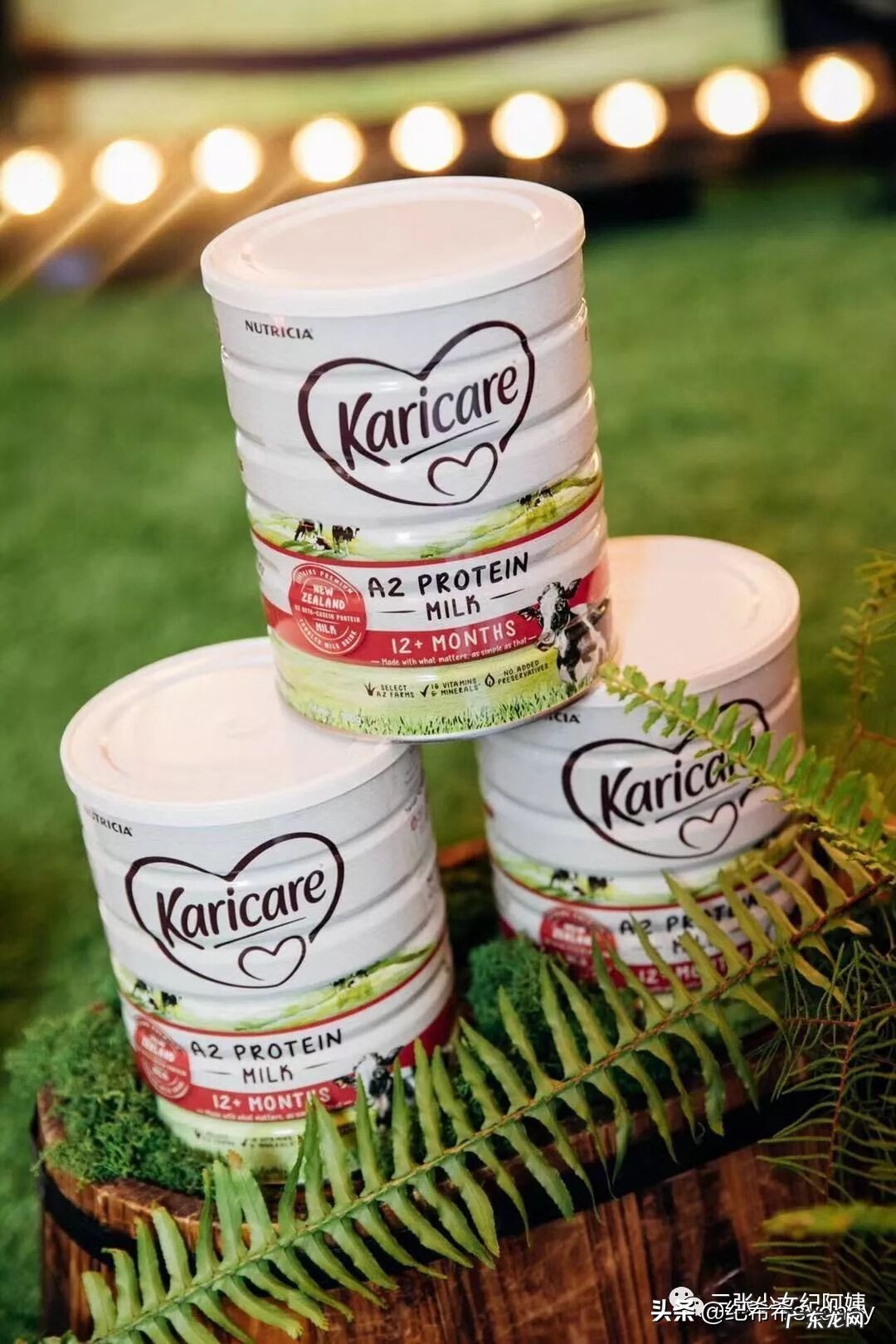 可瑞康奶粉 可瑞康牛奶粉怎么样啊