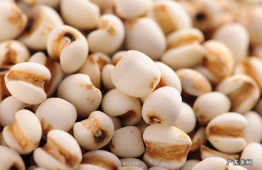 薏米红枣粥的禁忌 薏仁米红豆粥的禁忌