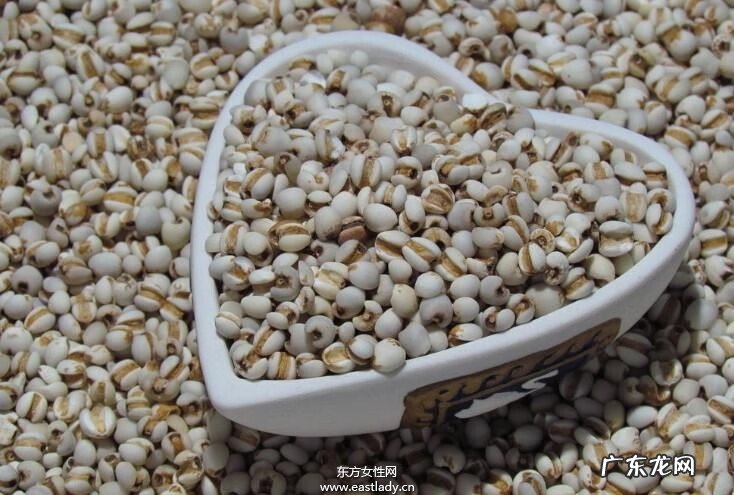 薏米红枣粥的禁忌 薏仁米红豆粥的禁忌