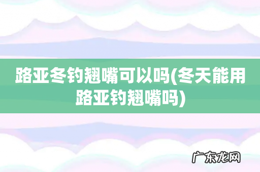 冬天能用路亚钓翘嘴吗 路亚冬钓翘嘴可以吗