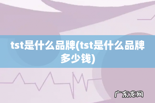 tst是什么品牌多少钱 tst是什么品牌